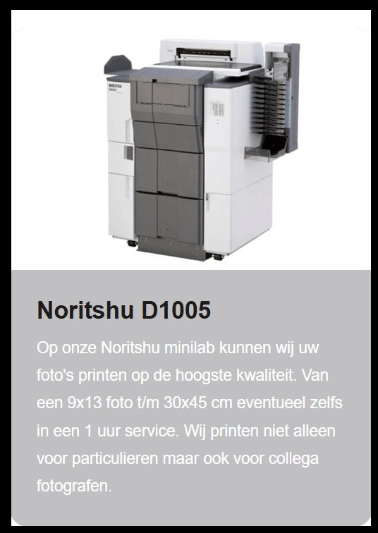 D1005