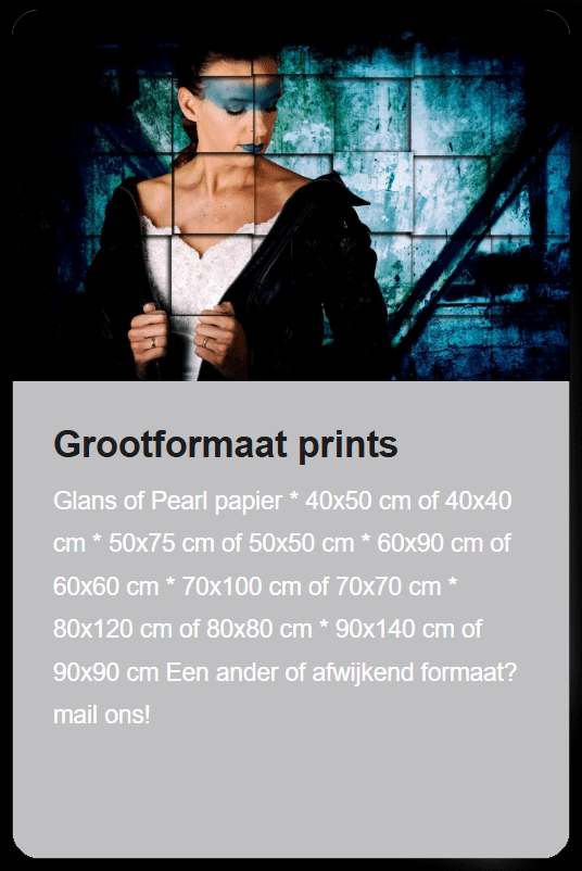 Grootformaat-prints